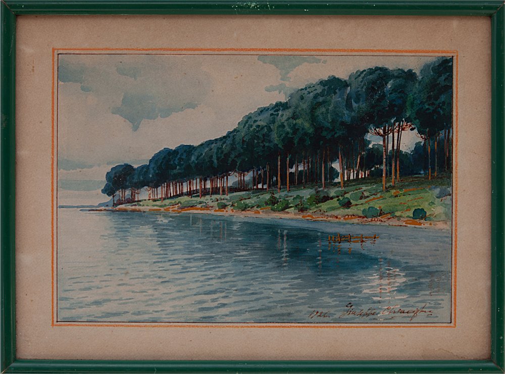 giuseppe chiacigh: Pini marittimi